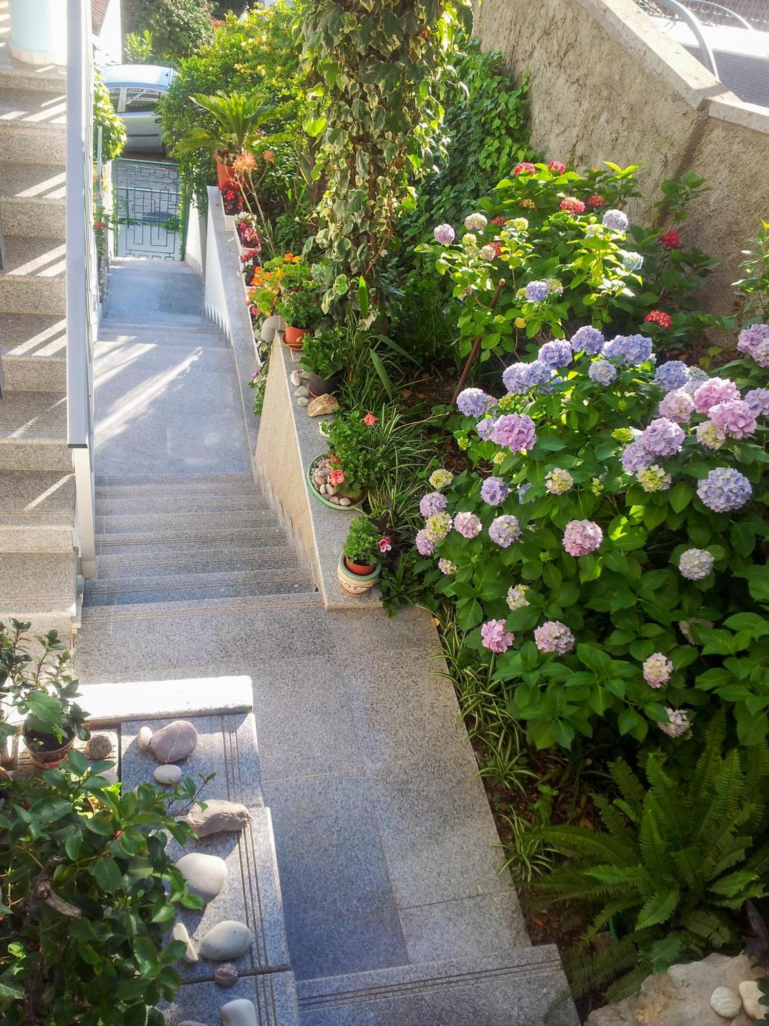 Panorama Apartments Budva Exterior photo
